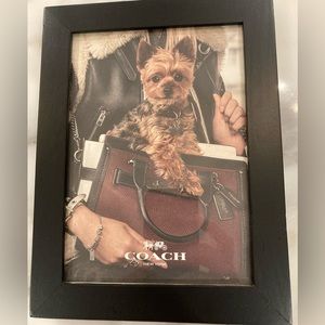 Coach Yorkie Framed Photo